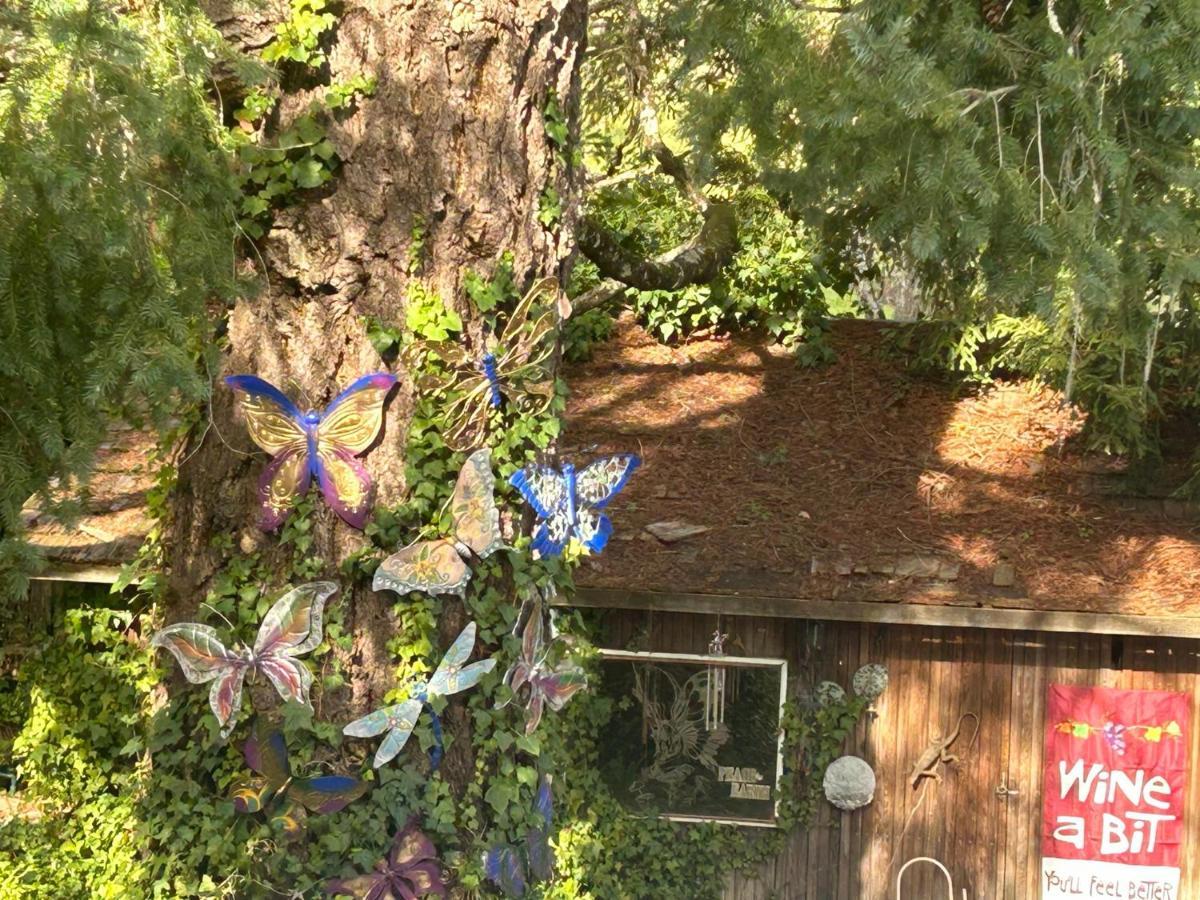 Bed and Breakfast Foothill House Calistoga Exterior foto